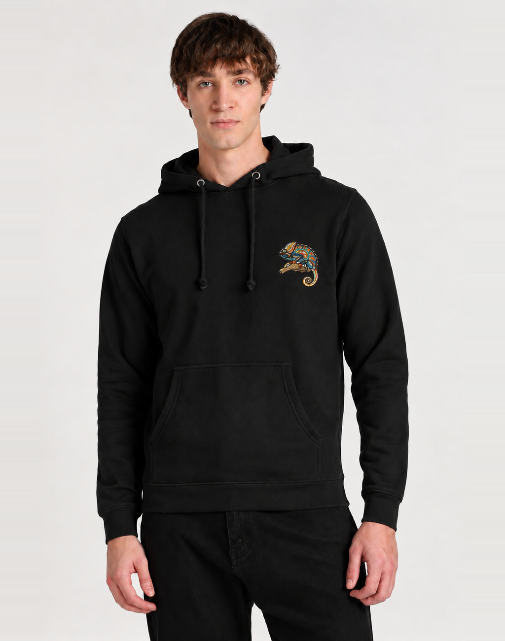 Unisex Premium Oversized Cotton Hoodie - chameleon Embroidery
